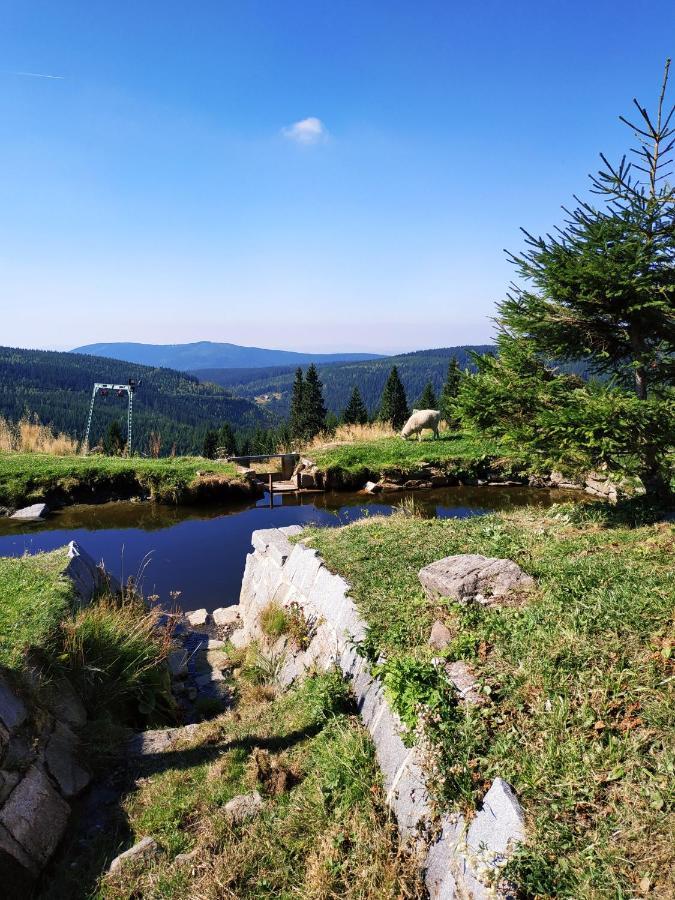Penzion Andula Friesovy boudy Strážné Esterno foto